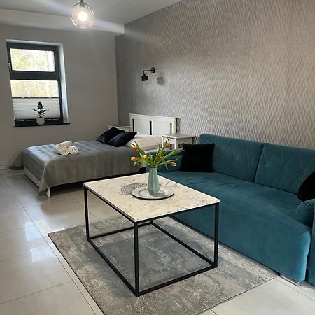 Apartamenty Na Blichu - Noclegi Energylandia ザトル エクステリア 写真